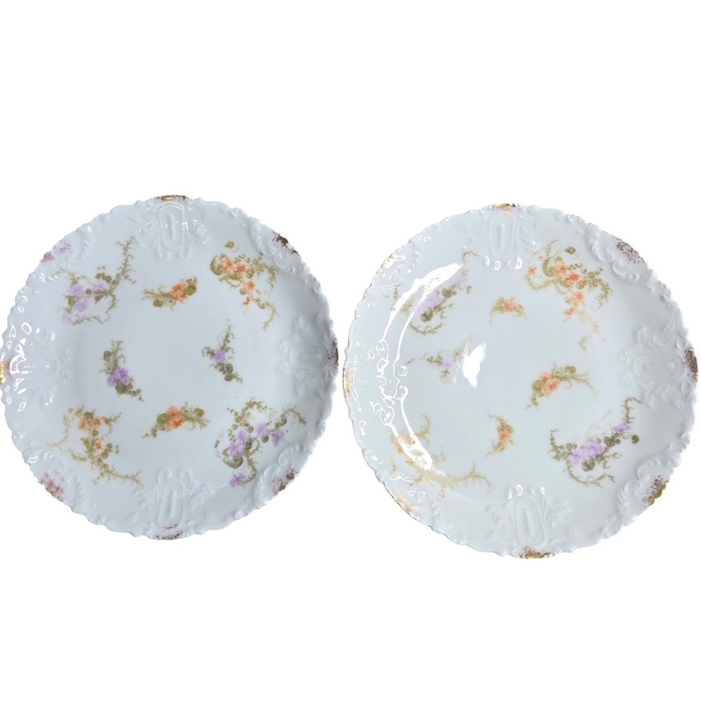 Set of 2 Antique Limoges Floral Porcelain Plates White Gold Gilt Trim France 8.5